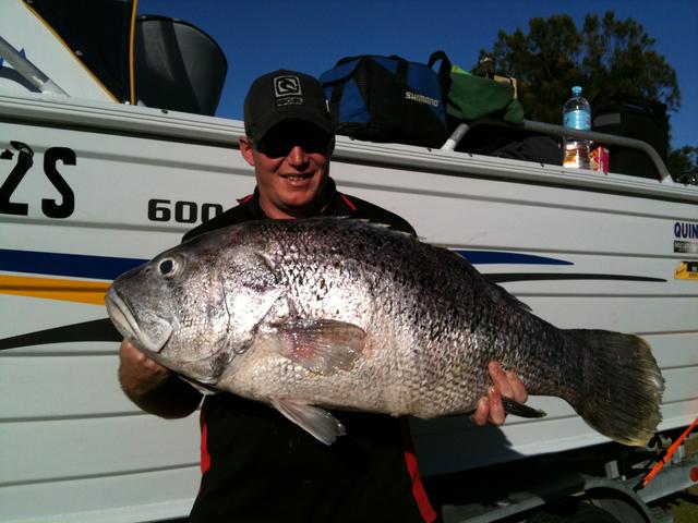 TOM'S 20KG DHU FROM THIS MORNING